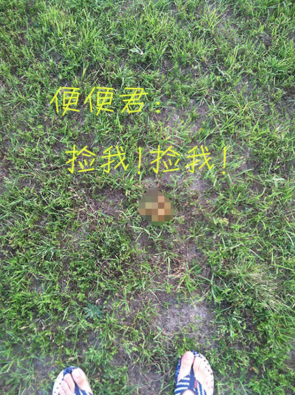 狗肚子里的蠕动君之蛔虫 Roundworms 狗肚子里的蠕动君之蛔虫 Roundworms