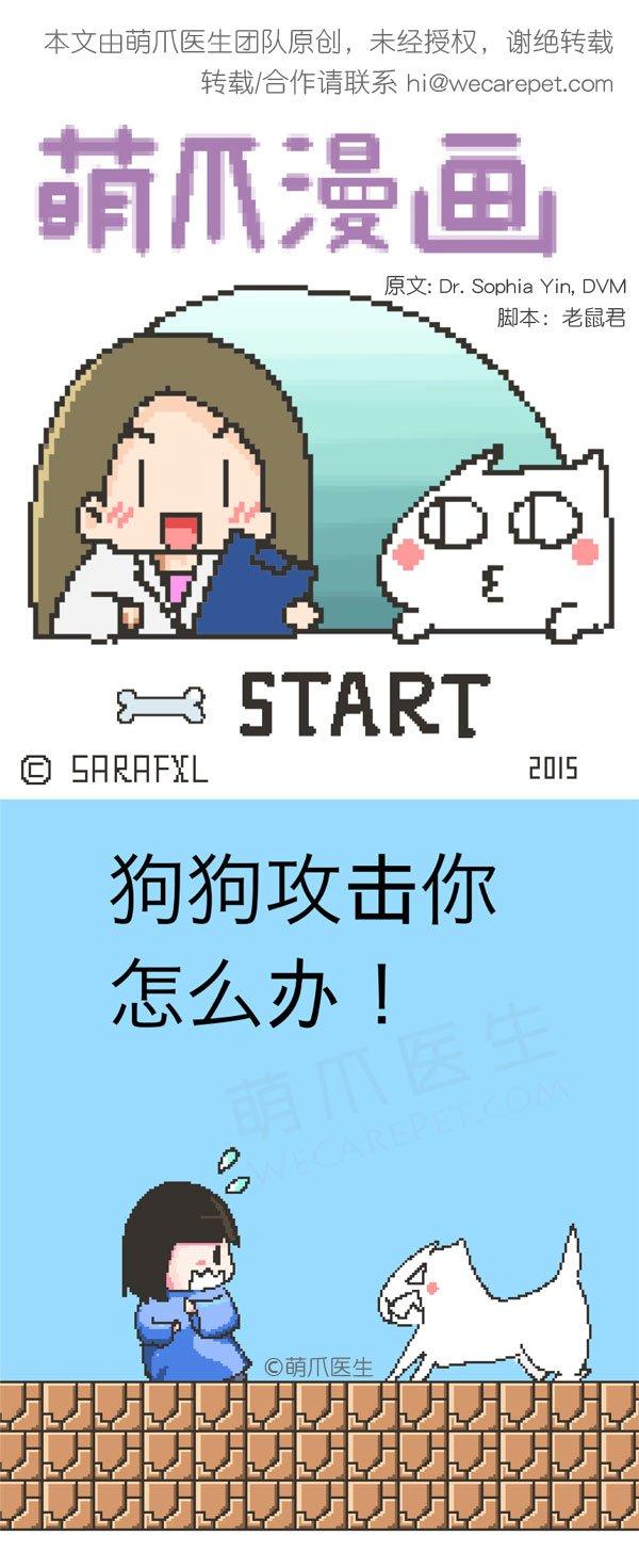 漫画 遭遇狗狗攻击 你该怎么办 萌爪医生