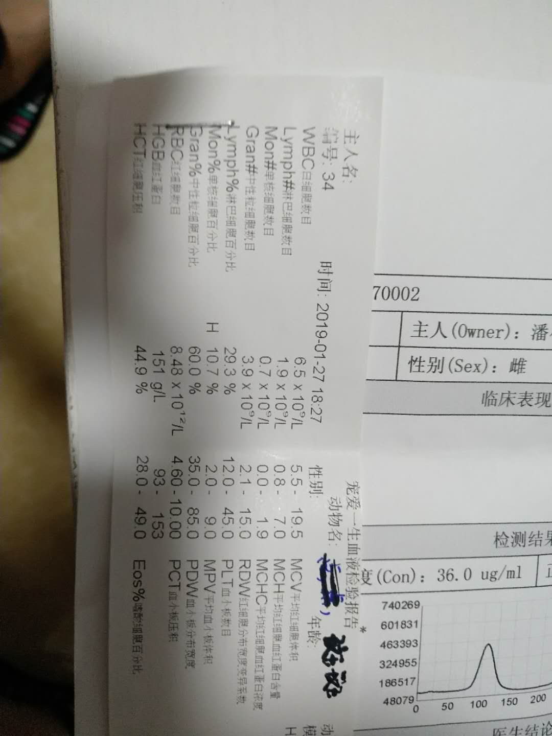 斑斑体重持续下降 斑斑体重持续下降
