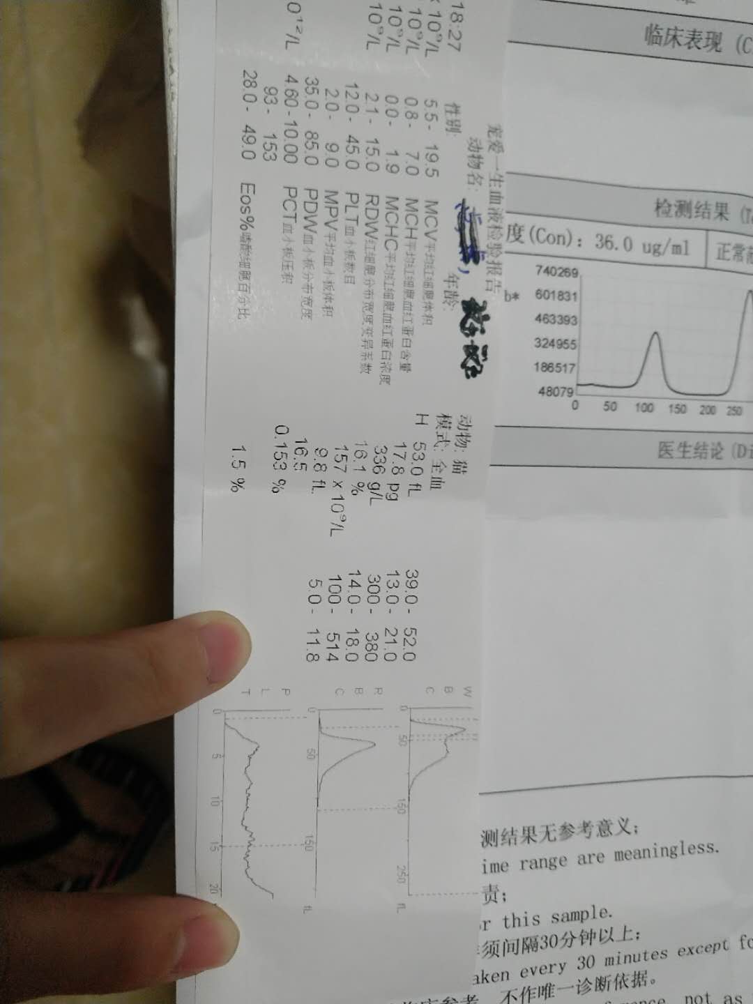 斑斑体重持续下降 斑斑体重持续下降