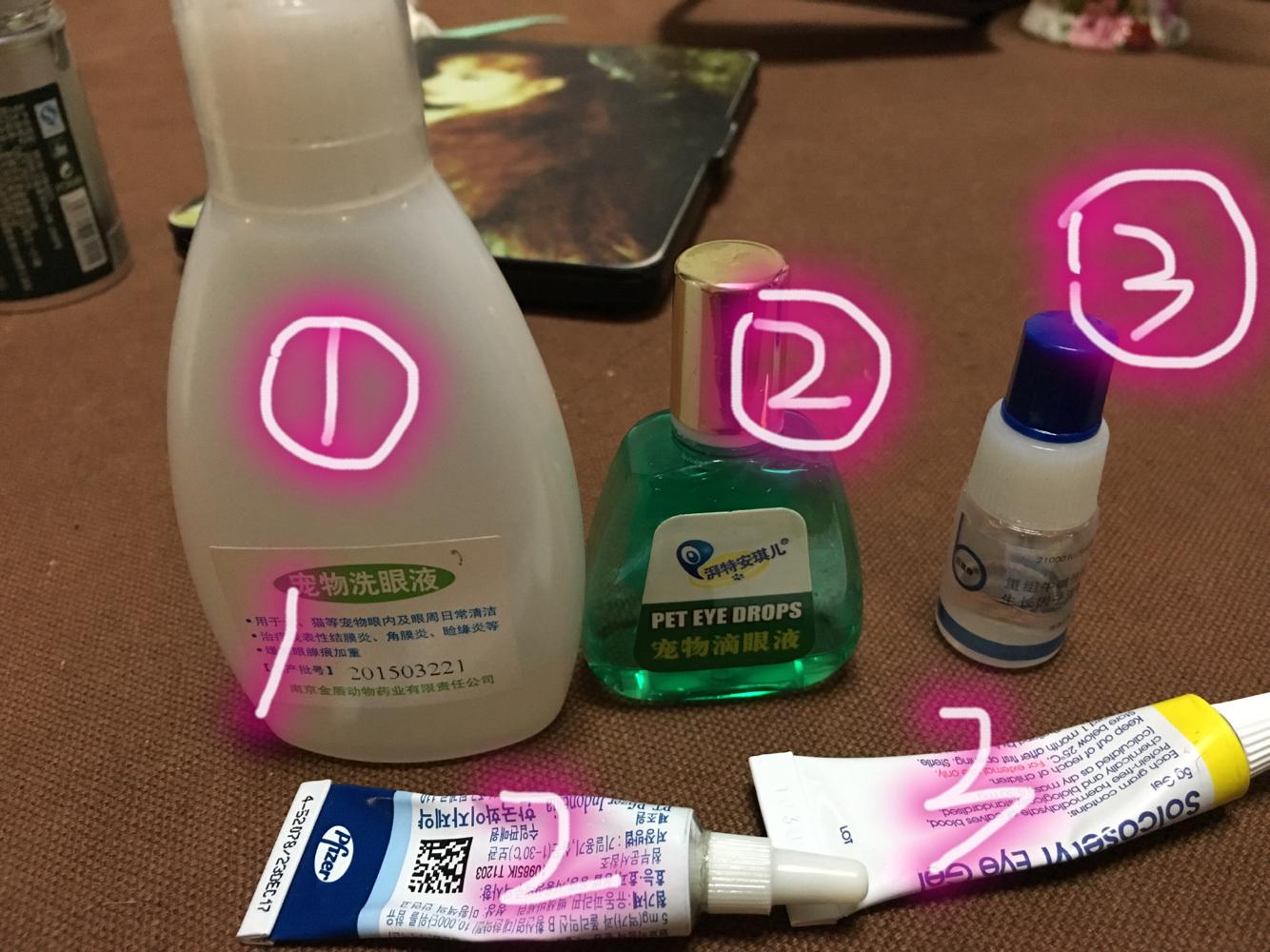 猫得了角膜溃疡,下睫毛总是刺激眼球 猫得了角膜溃疡,下睫毛总是刺激眼球