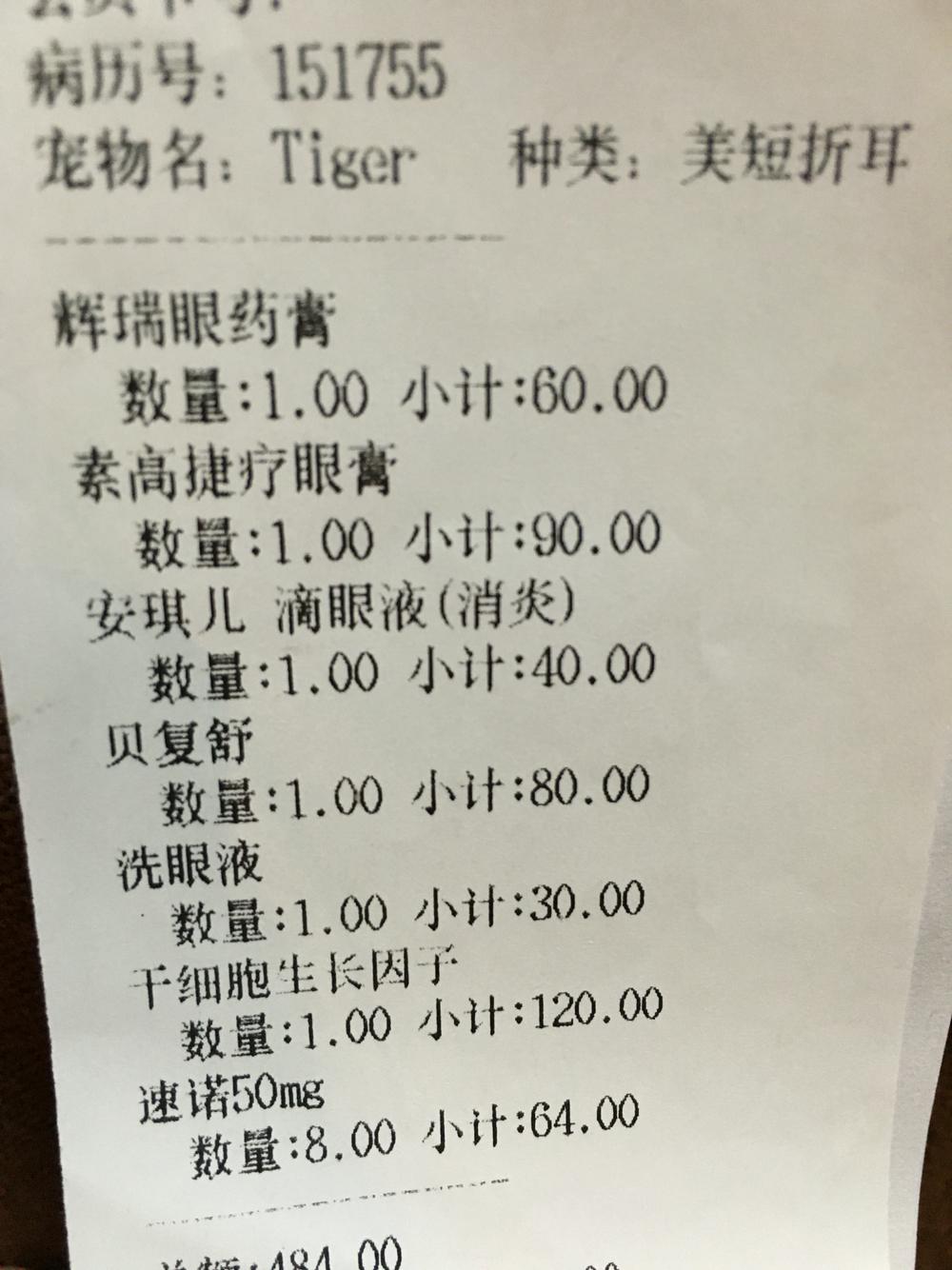 猫得了角膜溃疡,下睫毛总是刺激眼球 猫得了角膜溃疡,下睫毛总是刺激眼球