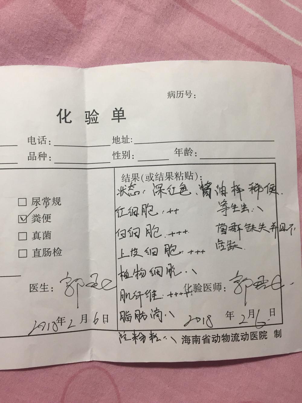 关于呼呼输液扎不进去针