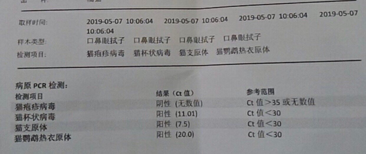 白球比0.6,球蛋白有点高,可以喂白球白吗?