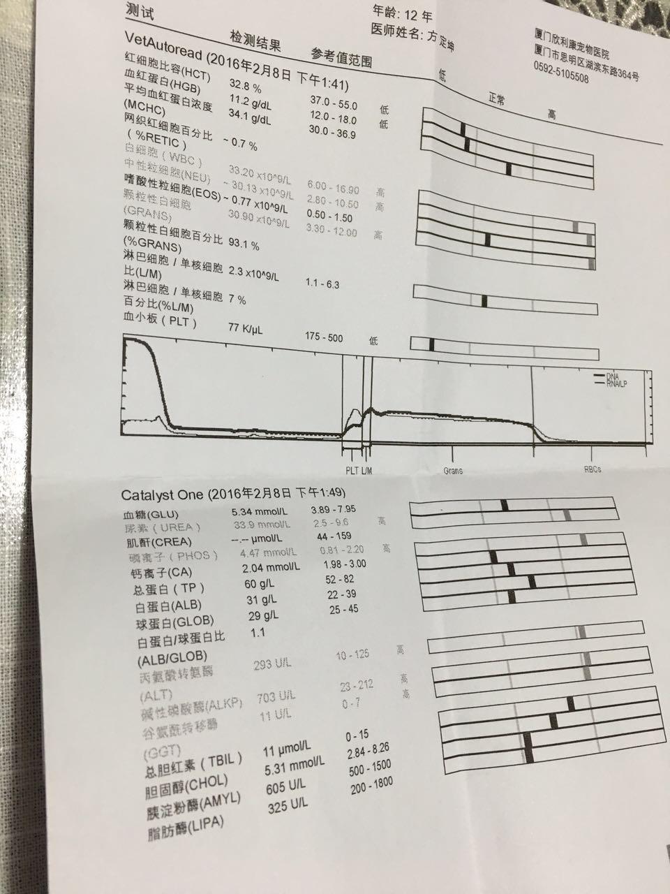 医生从化验单上一一解释,得出结论是慢性肾衰竭引起高血氨血症,很感谢