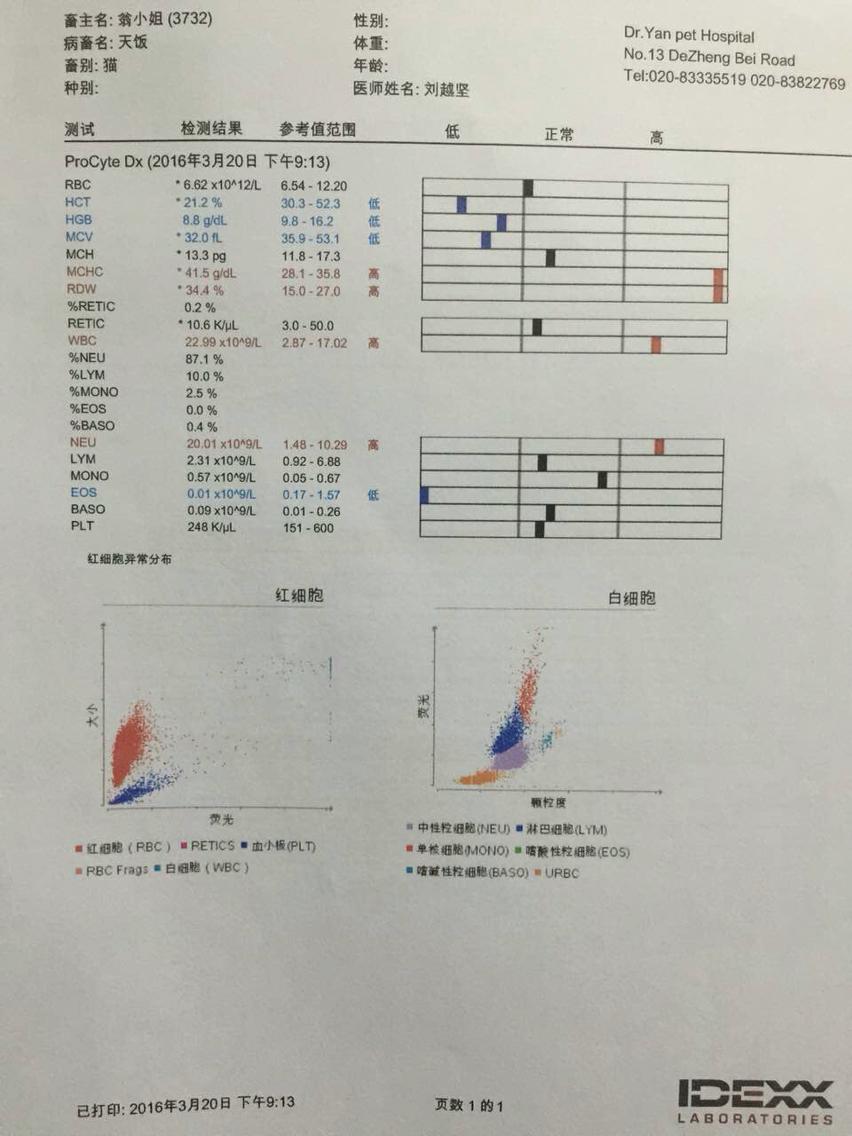 我想问一下医生 癫痫 脑膜炎有可能在半个月内后天引起吗? 我想问一下医生 癫痫 脑膜炎有可能在半个月内后天引起吗?