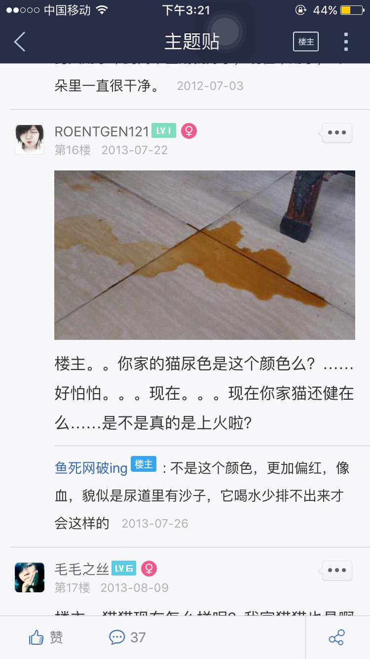 公猫褐色尿液