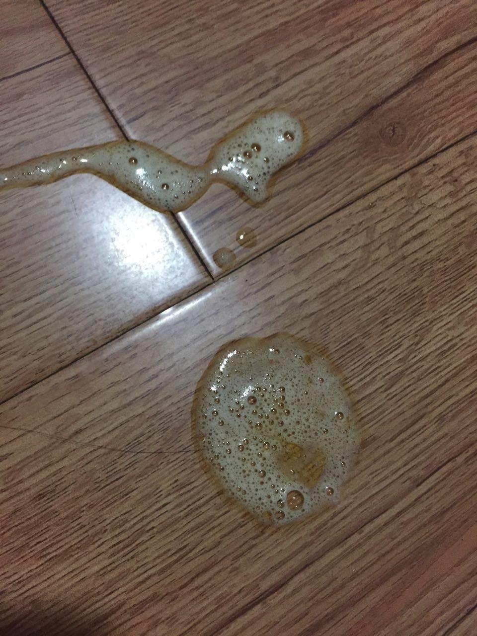 狗狗吃了驱虫药之后呕吐