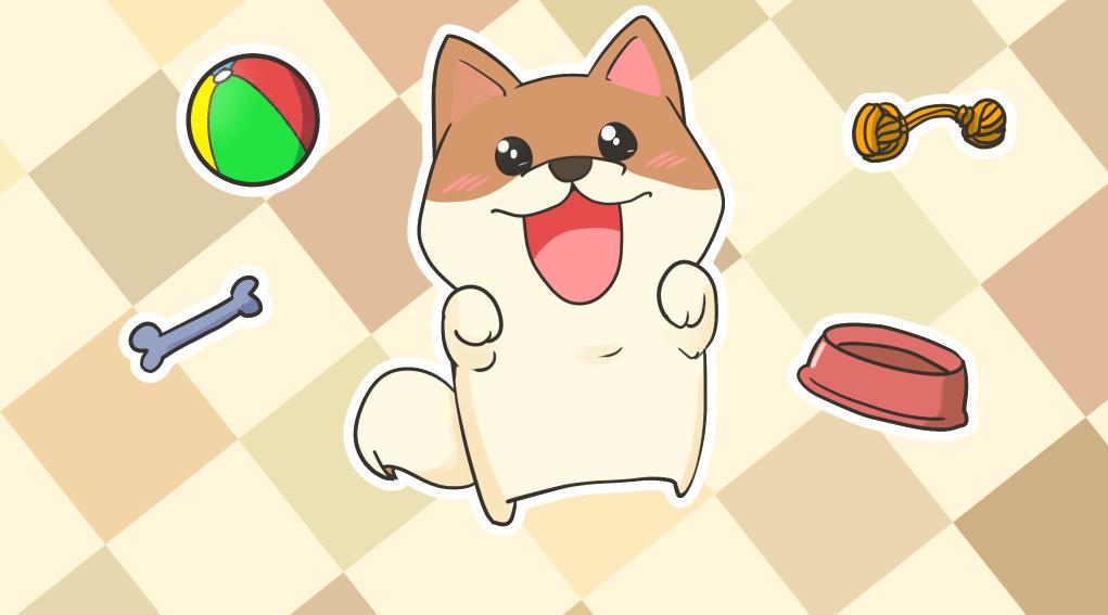 怎样养出健康的龙猫宝宝 萌爪医生